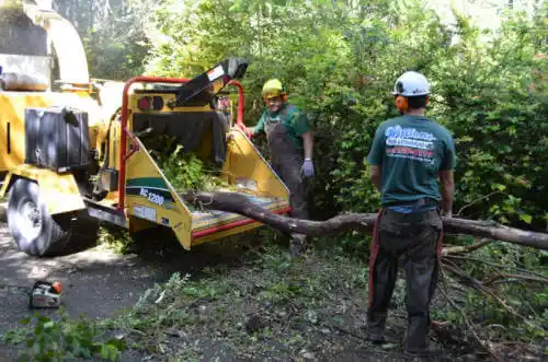 tree services Oildale